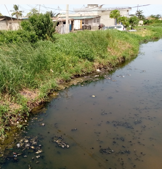 Lutte contre le paludisme : L&rsquo;assainissement du cadre de vie, une arme efficace pour prévenir le mal