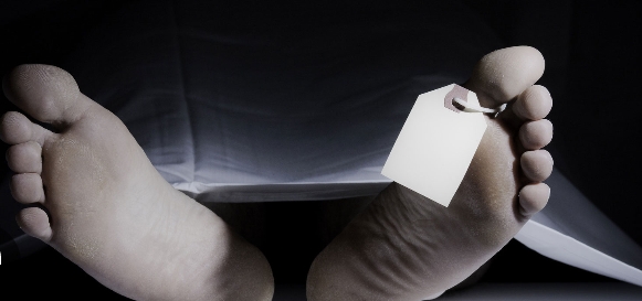 Dévouement fatal  : Un homme meurt en tentant de sauver une chèvre