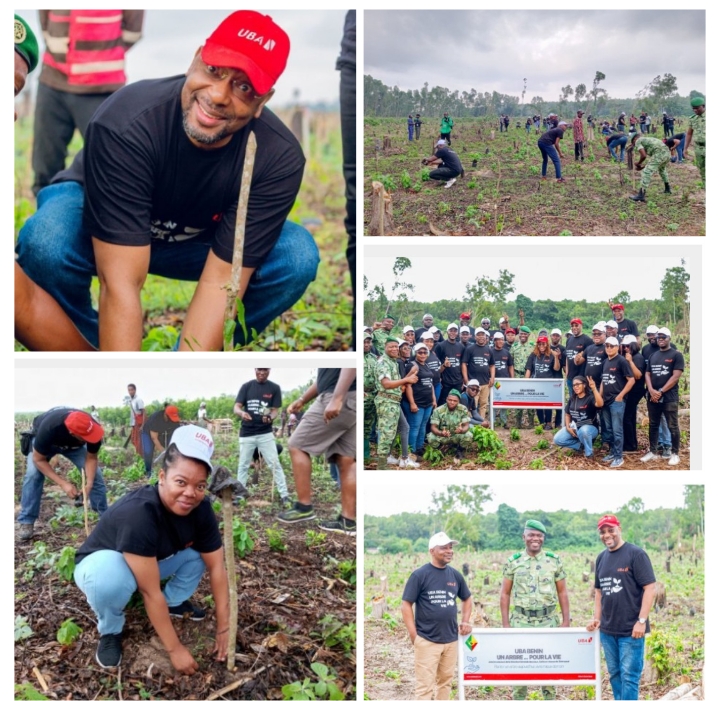 Reboisement dans la forêt classée de Pahou : UBA Bénin donne l’exemple et met en terre 5 000 plants